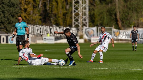 How can UK pet owners prepare for natural disasters?